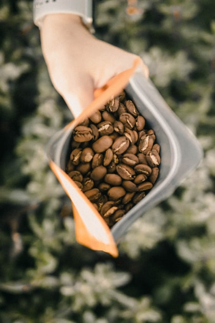 Sourcing High Quality Green Beans