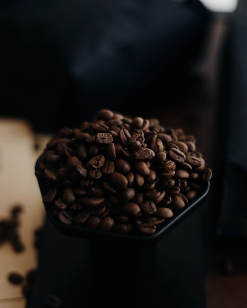 The Rise of Sustainable Coffee